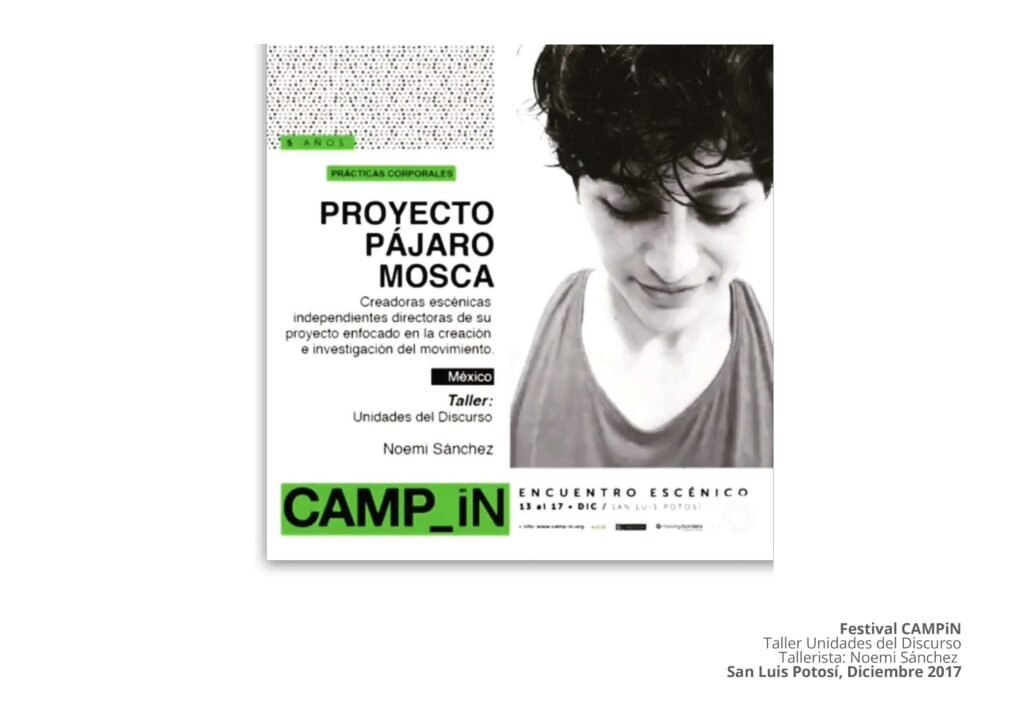 Comprobantes de Trayectoria Pájaro Mosca (1)_pages-to-jpg-0004