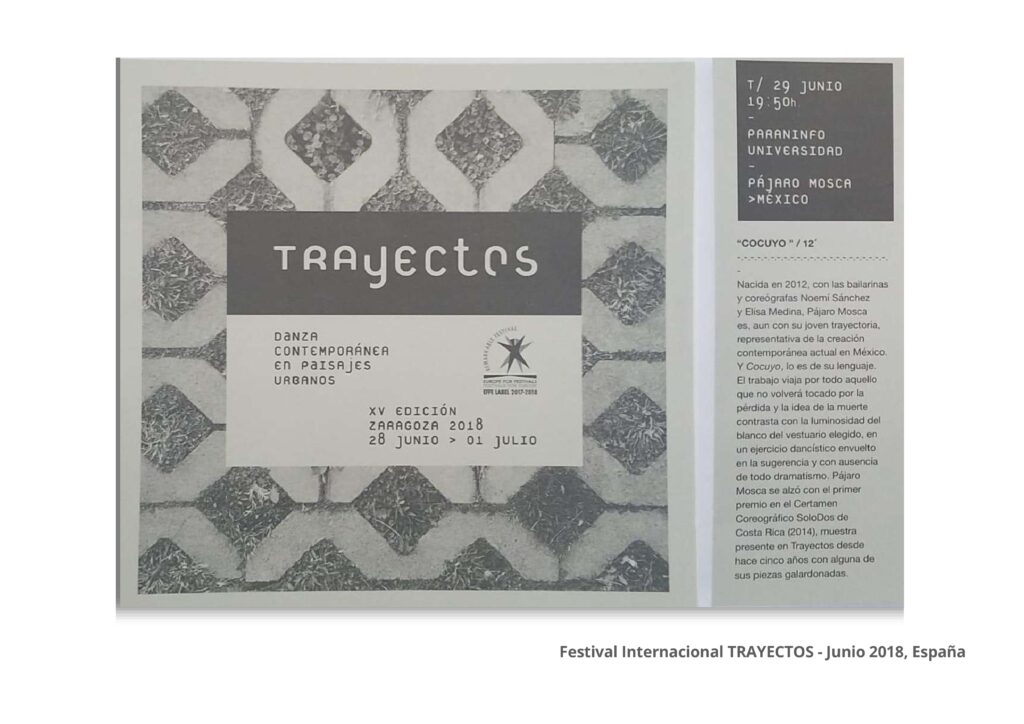 Comprobantes de Trayectoria Pájaro Mosca (1)_pages-to-jpg-0005