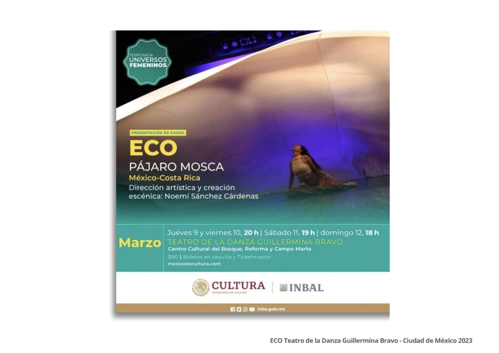 Comprobantes de Trayectoria Pájaro Mosca (1)_pages-to-jpg-0009