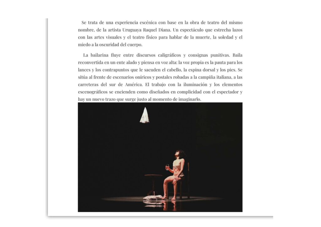 Comprobantes de Trayectoria Pájaro Mosca (1)_pages-to-jpg-0014
