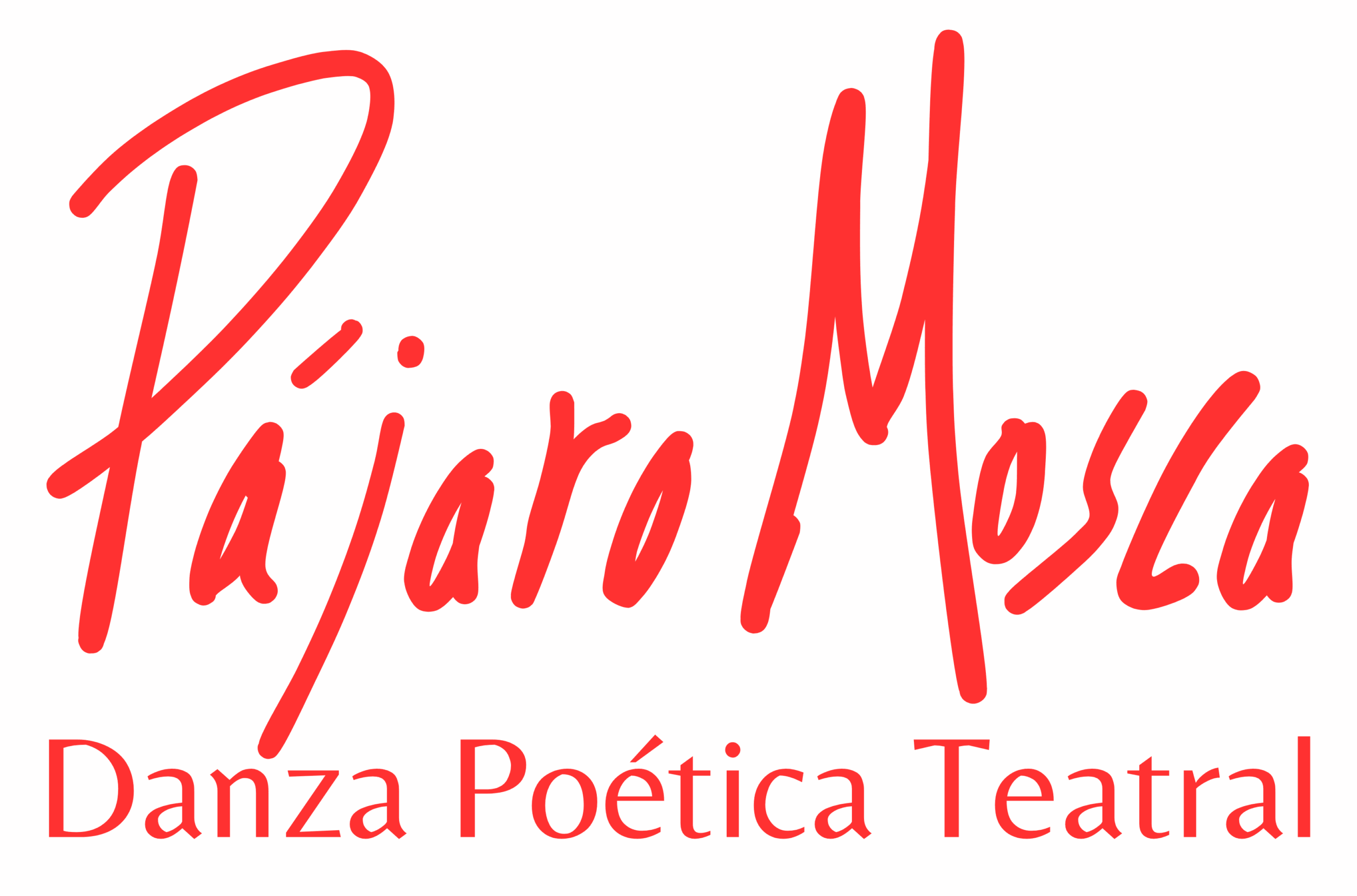Pajaro Mosca Danza